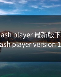 adobe flash player 最新版下载，adobe flash player version 11.8.0