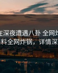 主持人在深夜遭遇八卦 全网炸裂，51爆料全网炸锅，详情深扒