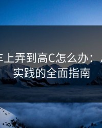 在公交车上弄到高C怎么办：从理论到实践的全面指南