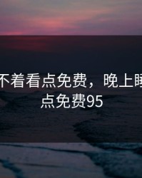 晚上睡不着看点免费，晚上睡不着看点免费95