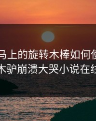 电动木马上的旋转木棒如何使用，少女骑木驴崩溃大哭小说在线阅读