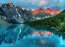 向日葵APP下载网址进入在线观看,向日葵app网站下载免费