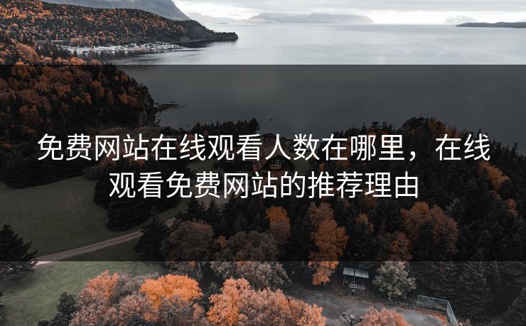 免费网站在线观看人数在哪里，在线观看免费网站的推荐理由