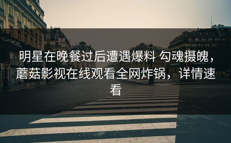 明星在晚餐过后遭遇爆料 勾魂摄魄，蘑菇影视在线观看全网炸锅，详情速看
