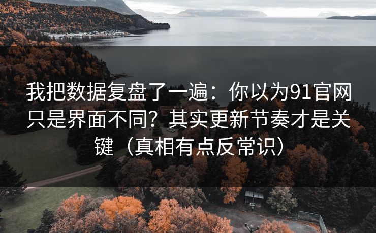 我把数据复盘了一遍：你以为91官网只是界面不同？其实更新节奏才是关键（真相有点反常识）